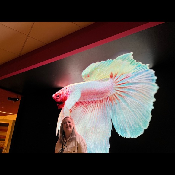 Meet your Posher, Denise - Picture 2 of 3